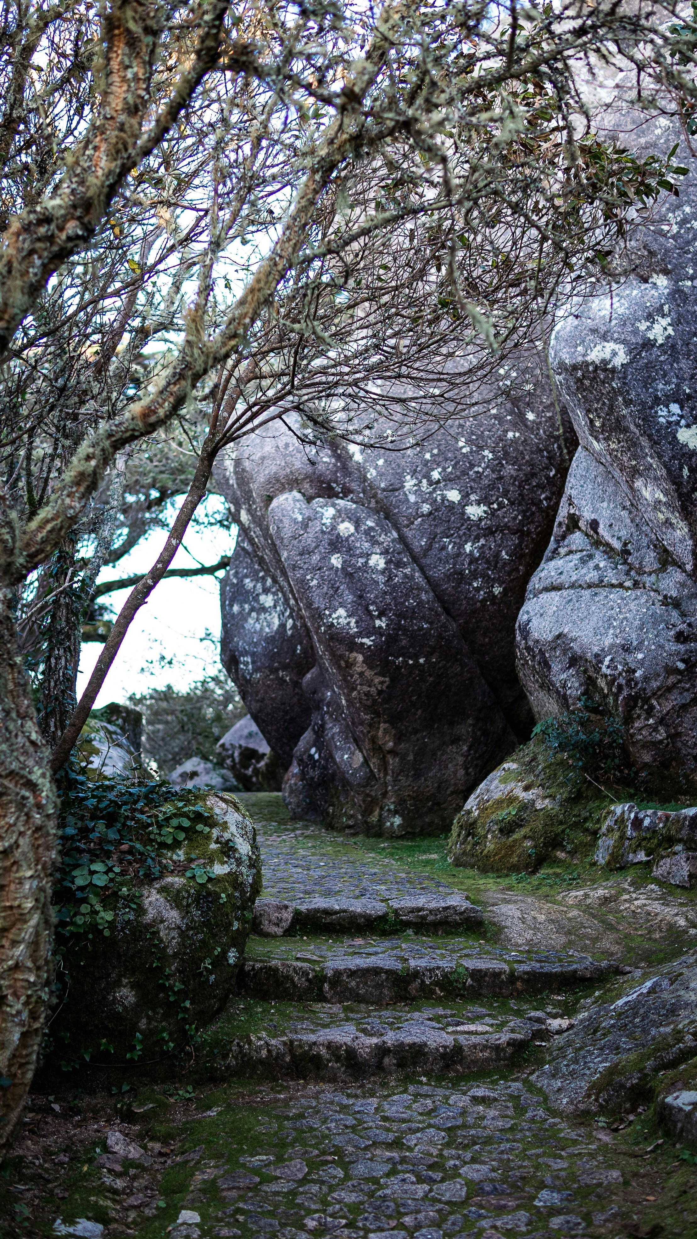 Lisbon tour inspiration